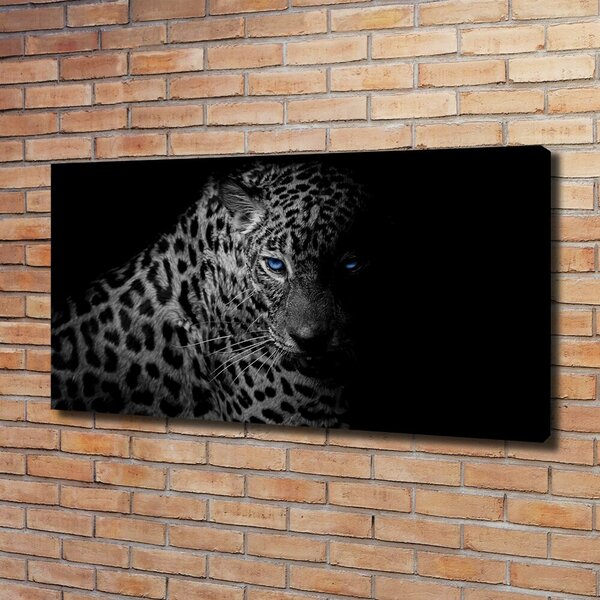 Foto obraz na plátně Leopard oc-89549218