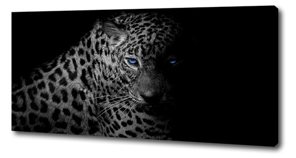 Foto obraz na plátně Leopard oc-89549218
