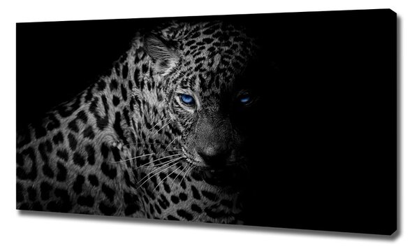 Foto obraz na plátně Leopard oc-89549218