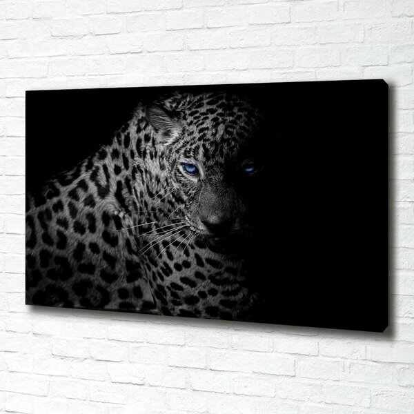 Foto obraz na plátně Leopard oc-89549218
