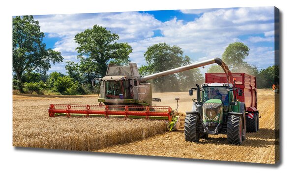 Foto obraz na plátně Kombajn a traktor oc-89579937