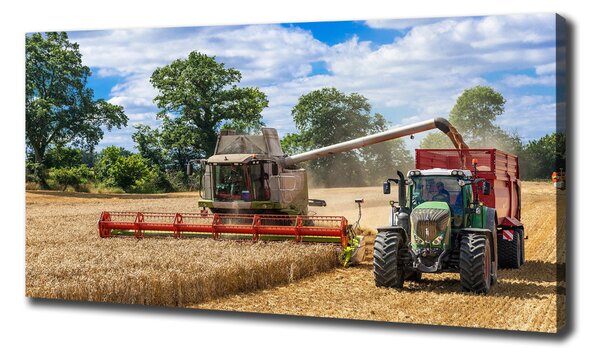 Foto obraz na plátně Kombajn a traktor oc-89579937