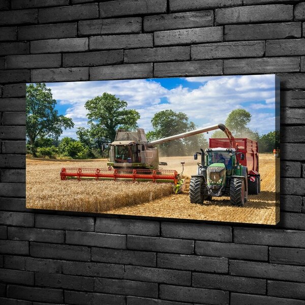 Foto obraz na plátně Kombajn a traktor oc-89579937