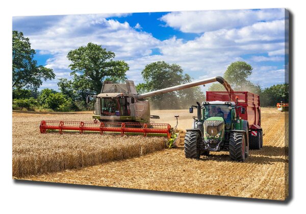 Foto obraz na plátně Kombajn a traktor oc-89579937