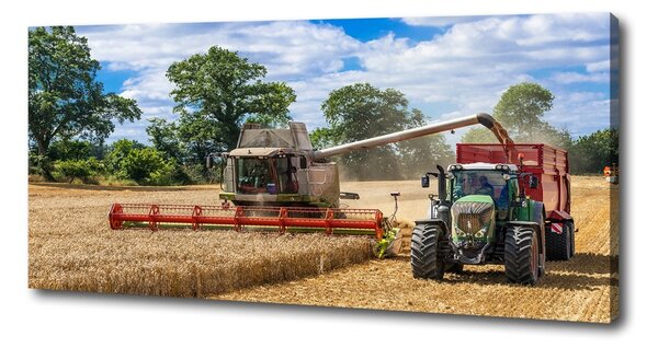 Foto obraz na plátně Kombajn a traktor oc-89579937
