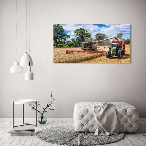 Foto obraz na plátně Kombajn a traktor oc-89579937