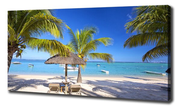 Foto obraz na plátně do obýváku Pláž Mauritius oc-89713117