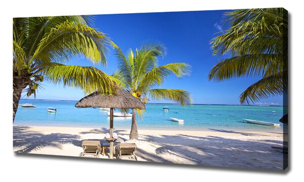 Foto obraz na plátně do obýváku Pláž Mauritius oc-89713117