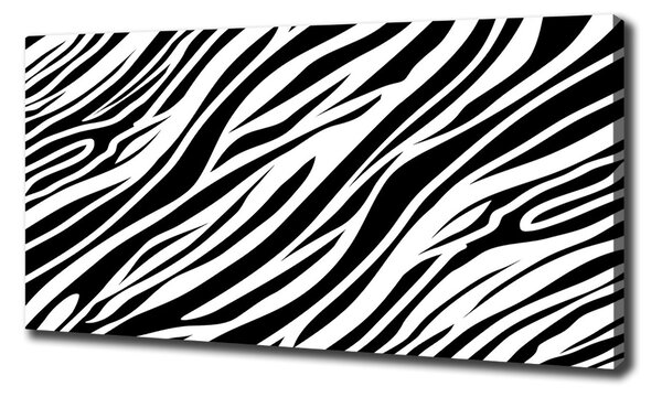 Foto obraz canvas Zebra pozadí oc-89914611