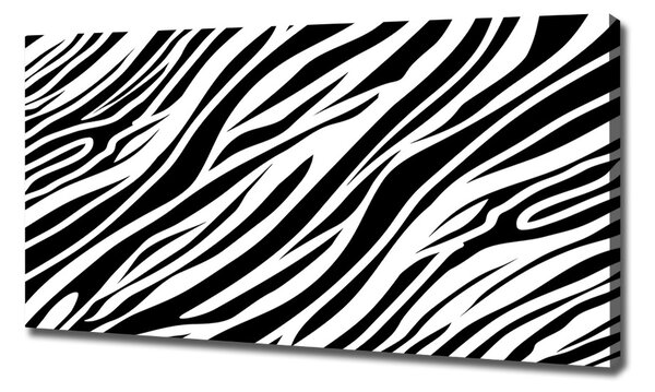 Foto obraz canvas Zebra pozadí oc-89914611