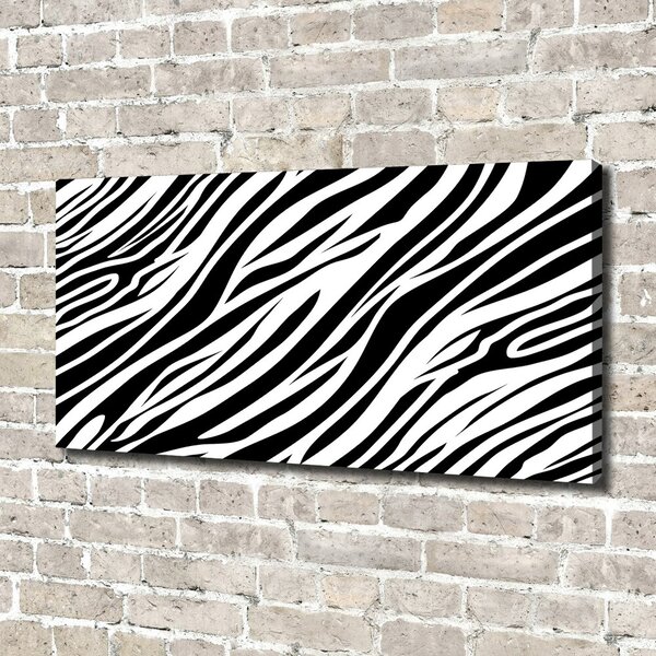 Foto obraz canvas Zebra pozadí oc-89914611