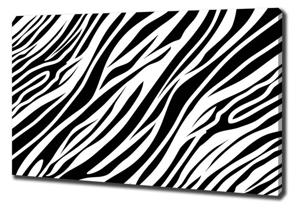 Foto obraz canvas Zebra pozadí oc-89914611