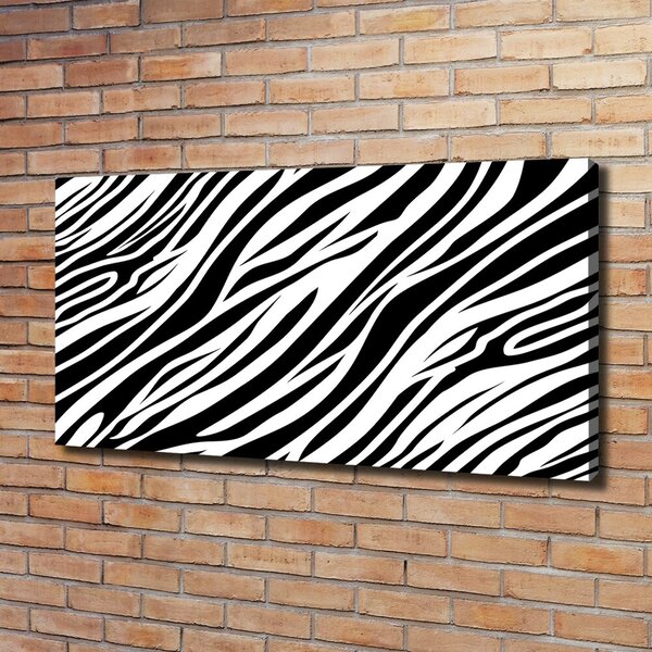 Foto obraz canvas Zebra pozadí oc-89914611
