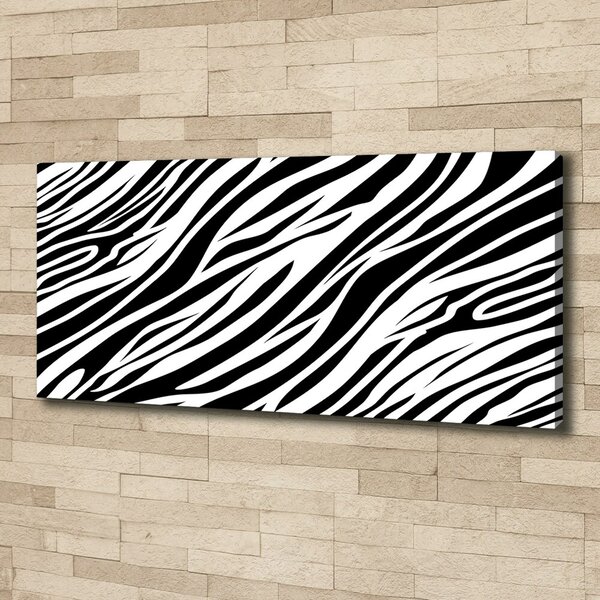 Foto obraz canvas Zebra pozadí oc-89914611