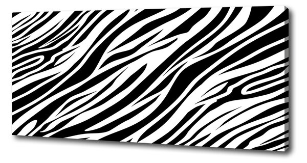 Foto obraz canvas Zebra pozadí oc-89914611