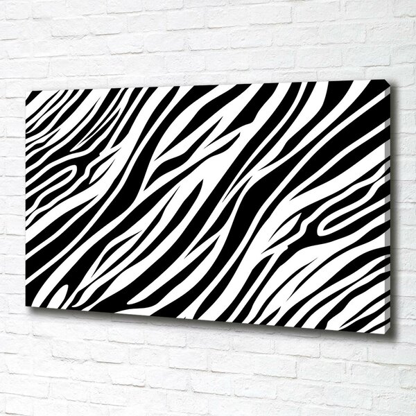 Foto obraz canvas Zebra pozadí oc-89914611
