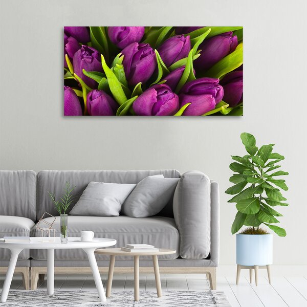 Foto obraz na plátně Fialové tulipány oc-89975331
