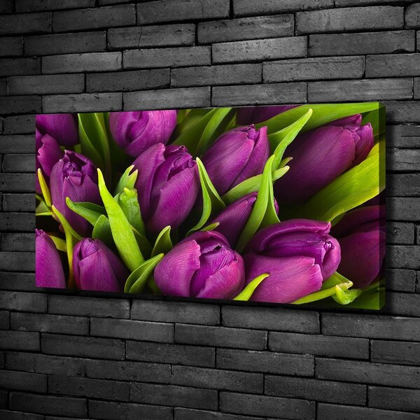 Foto obraz na plátně Fialové tulipány oc-89975331