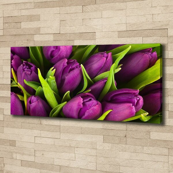 Foto obraz na plátně Fialové tulipány oc-89975331