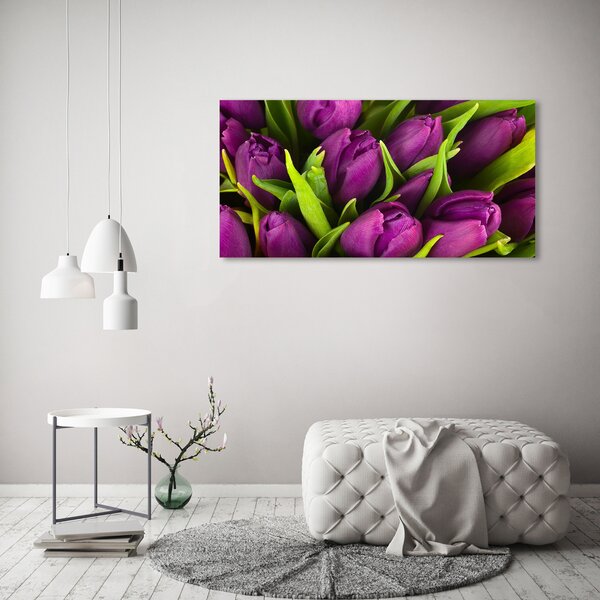 Foto obraz na plátně Fialové tulipány oc-89975331