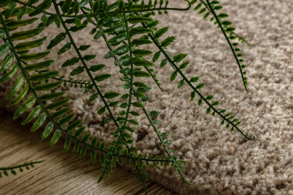 Koberec DUNE WOOL 497 01 TM621 béžový / hnědý