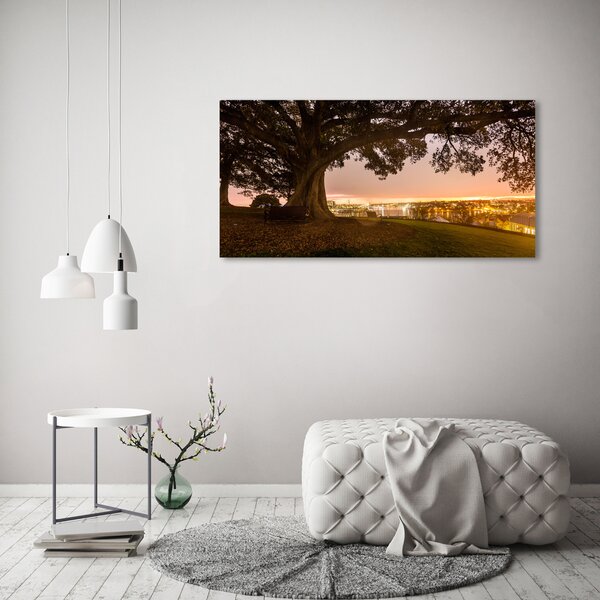 Foto obraz canvas Starý strom oc-90219521