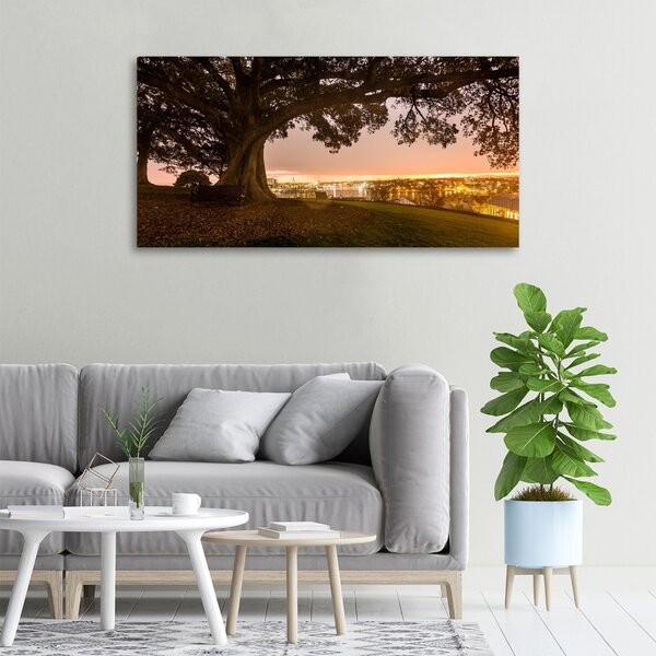 Foto obraz canvas Starý strom oc-90219521