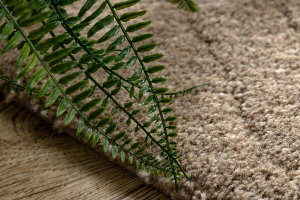 Koberec DUNE WOOL 497 03 TM620 hnědý