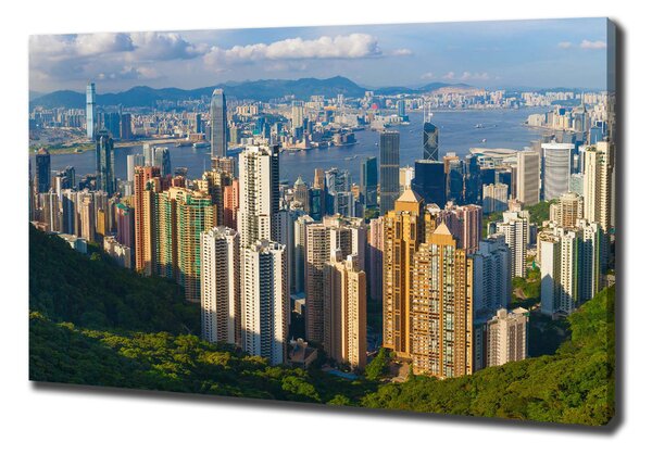 Foto obraz na plátně do obýváku Hongkong panorama oc-90238708