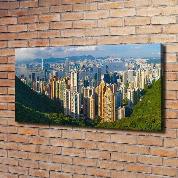 Foto obraz na plátně do obýváku Hongkong panorama oc-90238708