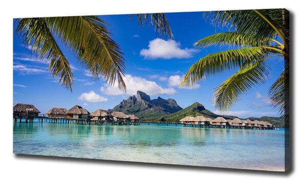 Foto obraz canvas Palmy na Bora Bora oc-90274909