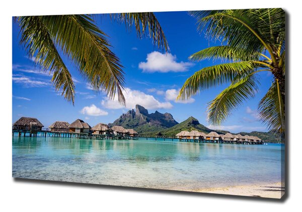 Foto obraz canvas Palmy na Bora Bora oc-90274909
