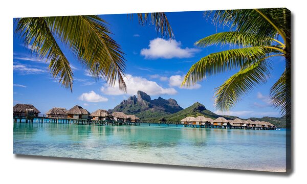 Foto obraz canvas Palmy na Bora Bora oc-90274909