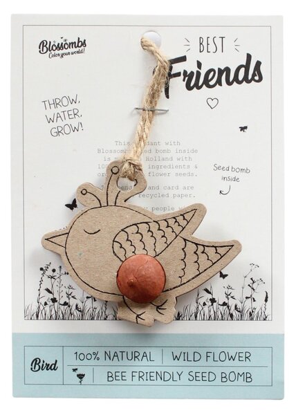 Semínka divokých květin Bird / Best Friends + pohlednice
