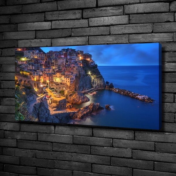 Foto obraz na plátně Manarola Itálie oc-90515464