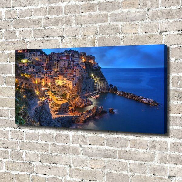 Foto obraz na plátně Manarola Itálie oc-90515464