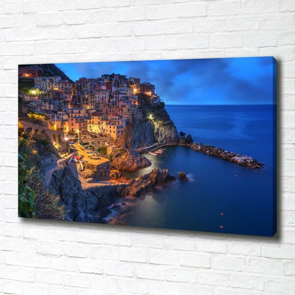 Foto obraz na plátně Manarola Itálie oc-90515464