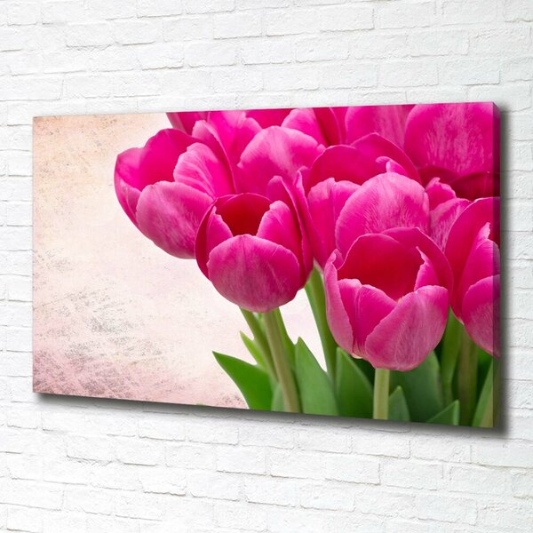 Moderní obraz canvas na rámu Růžové tulipány oc-90952565
