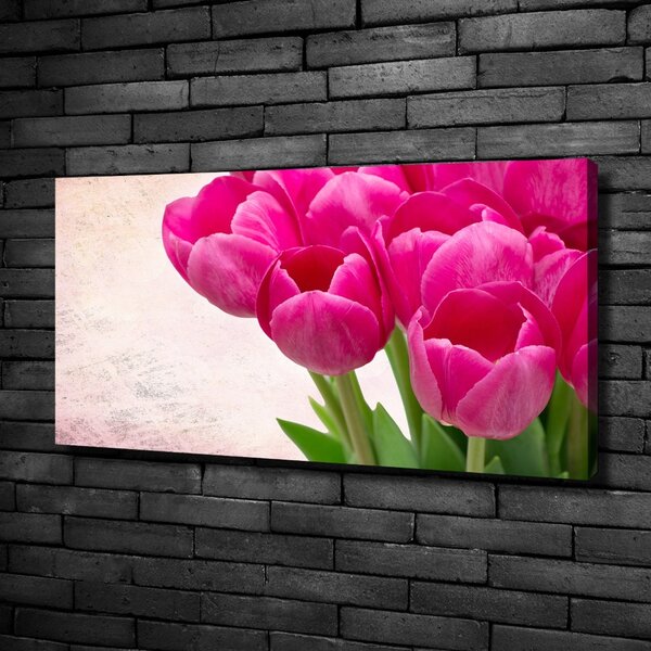 Moderní obraz canvas na rámu Růžové tulipány oc-90952565