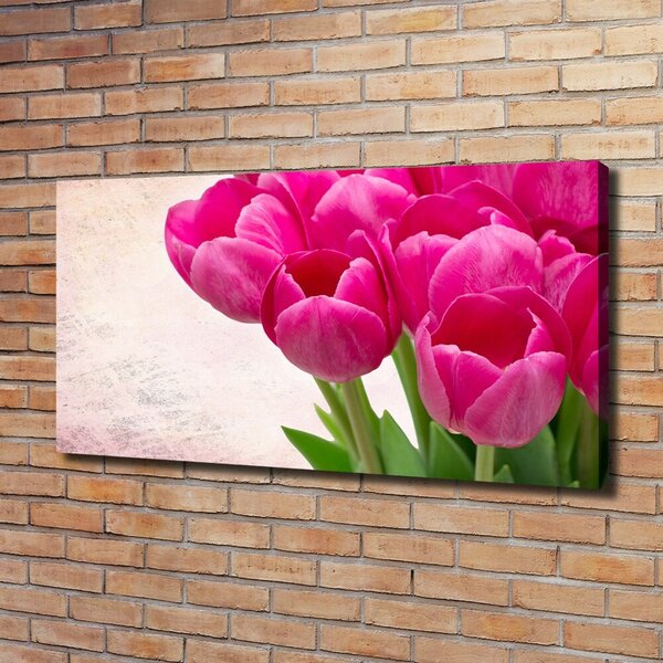 Moderní obraz canvas na rámu Růžové tulipány oc-90952565