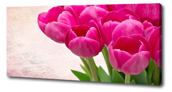 Moderní obraz canvas na rámu Růžové tulipány oc-90952565