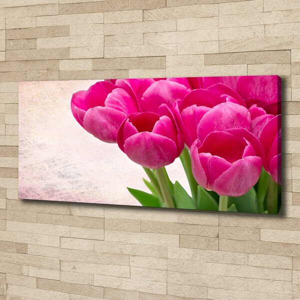 Moderní obraz canvas na rámu Růžové tulipány oc-90952565