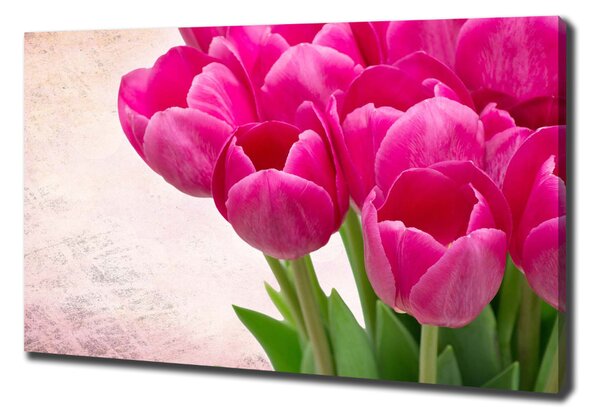 Moderní obraz canvas na rámu Růžové tulipány oc-90952565