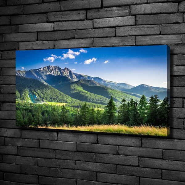 Foto obraz na plátně Skokanský můstek Tatry oc-91165762