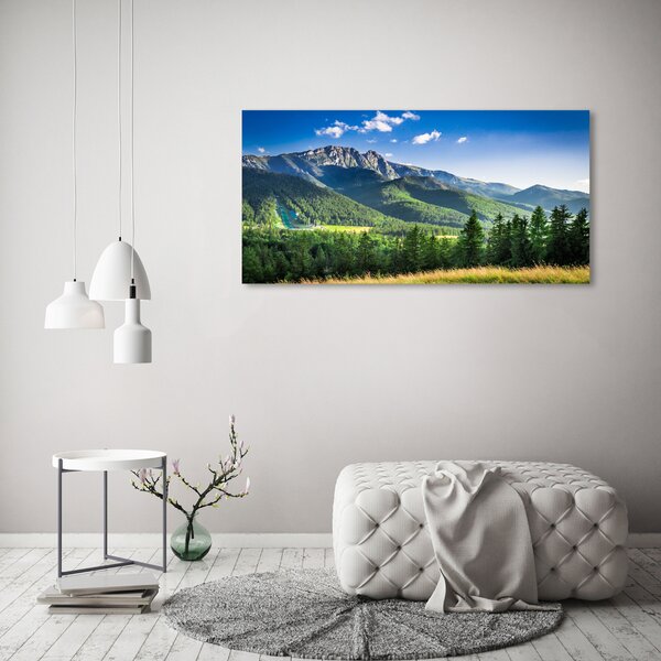 Foto obraz na plátně Skokanský můstek Tatry oc-91165762