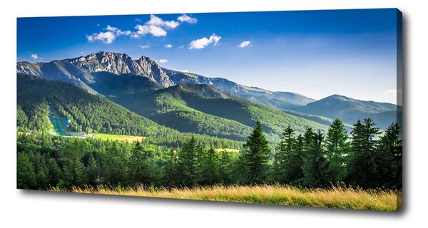 Foto obraz na plátně Skokanský můstek Tatry oc-91165762