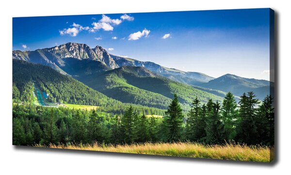 Foto obraz na plátně Skokanský můstek Tatry oc-91165762