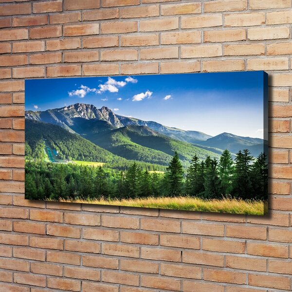 Foto obraz na plátně Skokanský můstek Tatry oc-91165762