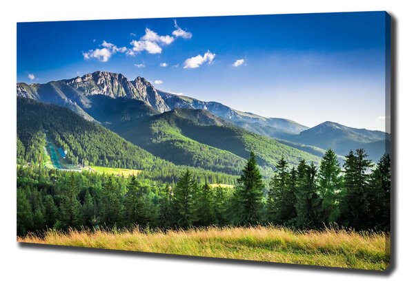 Foto obraz na plátně Skokanský můstek Tatry oc-91165762