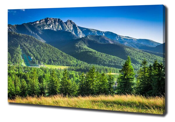 Moderní obraz canvas na rámu Skokanský můstek Tatry oc-91165777